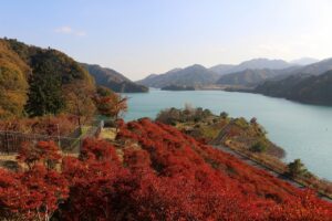 紅葉ドライブっていいねって 神奈川県相模原の宮ケ瀬湖畔で もっともっとワクワクの君へ