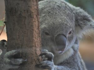 みんなで遊んだよねって 横浜市金沢自然公園にて もっともっとワクワクの君へ