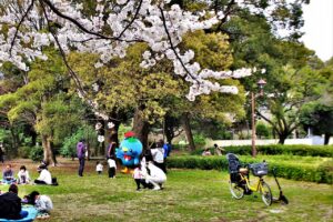 なんだかワクワクするよねって 東京杉並区善福寺川緑地の桜の下で もっともっとワクワクの君へ
