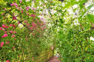 秋色に囲まれて幸せってね 東京都墨田区向島百花園にて もっともっとワクワクの君へ