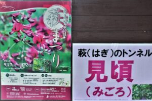 秋色に囲まれて幸せってね 東京都墨田区向島百花園にて もっともっとワクワクの君へ