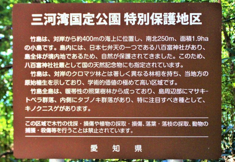 島に渡るだけでご利益があるってね／愛知県蒲郡市竹島にて｜もっともっとワクワクの君へ